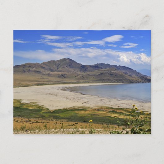 State Park Antelope Island, Great Salt Lake, Briefkaart (Voorkant)