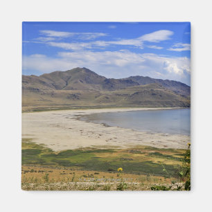 State Park Antelope Island, Great Salt Lake, Magneet