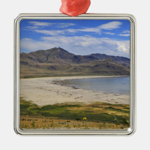 State Park Antelope Island, Great Salt Lake, Metalen Ornament
