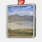 State Park Antelope Island, Great Salt Lake, Metalen Ornament (Links)