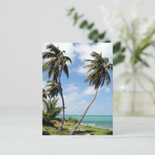 State Park Bahai Honda, Florida Keys Briefkaart (Staand voorkant)