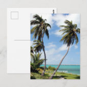 State Park Bahai Honda, Florida Keys Briefkaart (Voorkant / Achterkant)