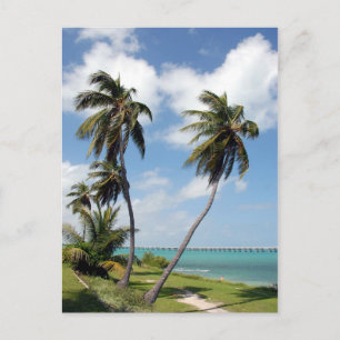State Park Bahia Honda en Seven Mile Bridge Briefkaart