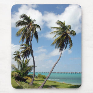 State Park Bahia Honda en Seven Mile Bridge Muismat