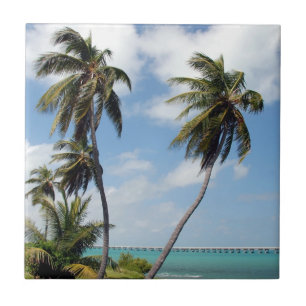State Park Bahia Honda Tegeltje