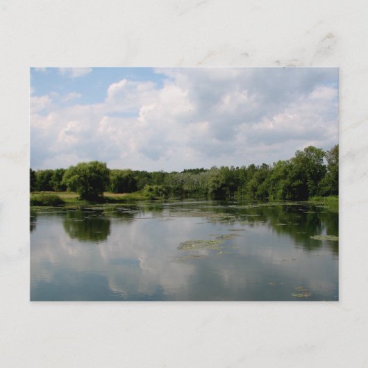 State Park Beaver Briefkaart (Voorkant)