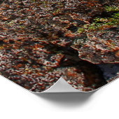 State Park beer Butte, South Dakota Poster (Hoek)