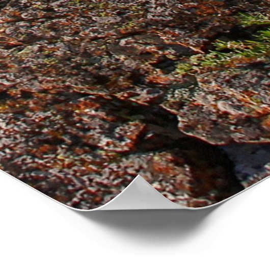 State Park beer Butte, South Dakota Poster (Hoek)