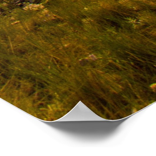 State Park beer Butte, South Dakota Poster (Hoek)