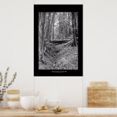 State Park Big Basin Redwood Poster (Keuken)