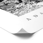 State Park Big Basin Redwood Poster (Hoek)