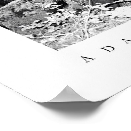 State Park Big Basin Redwood Poster (Hoek)