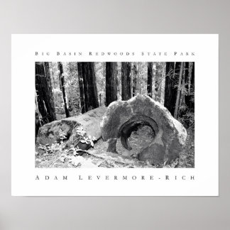 State Park Big Basin Redwood Poster
