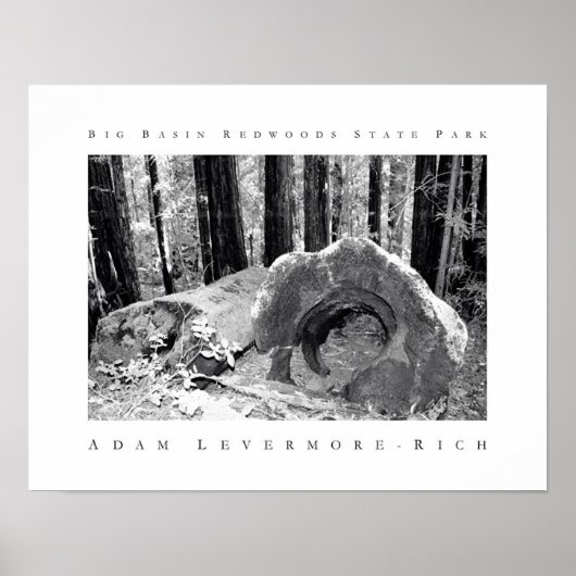 State Park Big Basin Redwood Poster (Voorkant)