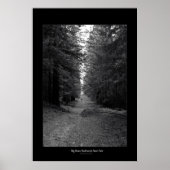 State Park Big Basin Redwood Poster (Voorkant)