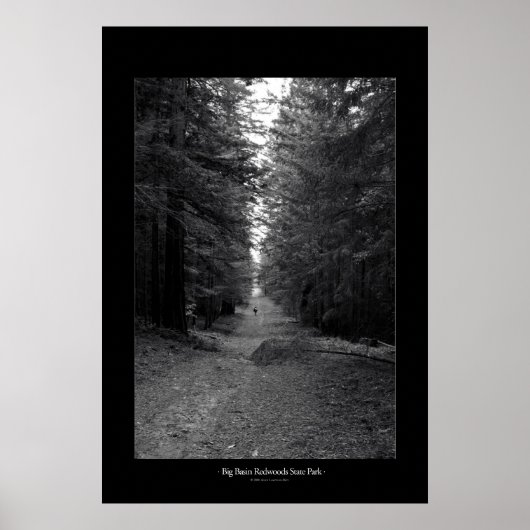 State Park Big Basin Redwood Poster (Voorkant)