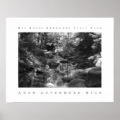 State Park Big Basin Redwood Poster (Voorkant)