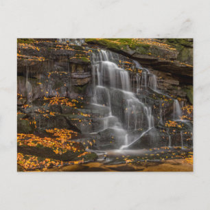 State Park Blackwater Herfsten Briefkaart