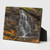 State Park Blackwater Herfsten Fotoplaat (Zijkant)