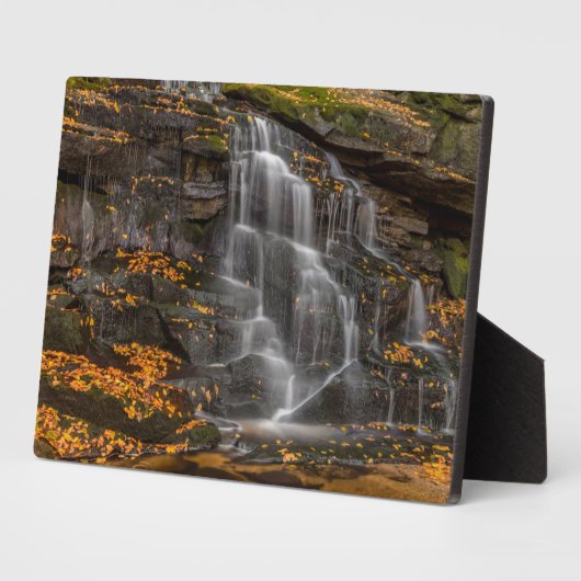 State Park Blackwater Herfsten Fotoplaat (Zijkant)