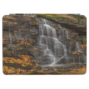 State Park Blackwater Herfsten iPad Air Cover