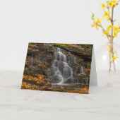 State Park Blackwater Herfsten Kaart (Gele Bloem)