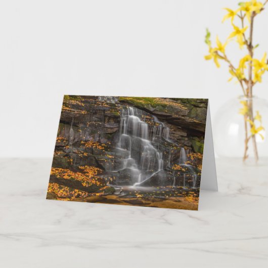 State Park Blackwater Herfsten Kaart (Gele Bloem)