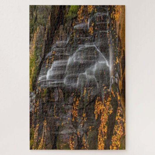 State Park Blackwater Herfsten Legpuzzel (Verticaal)