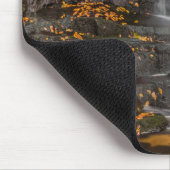 State Park Blackwater Herfsten Muismat (Hoek)