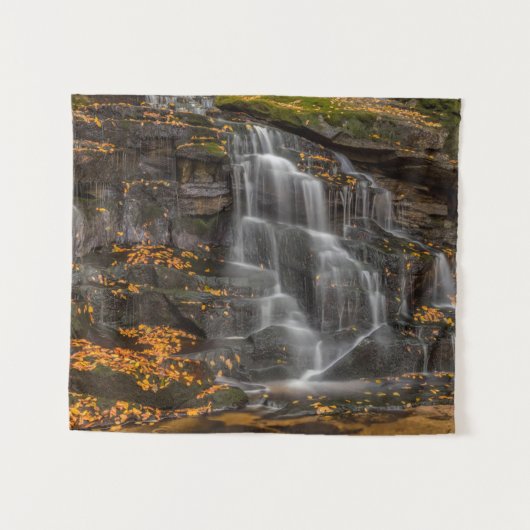 State Park Blackwater Herfsten Wandkleed (Voorkant (horizontaal))