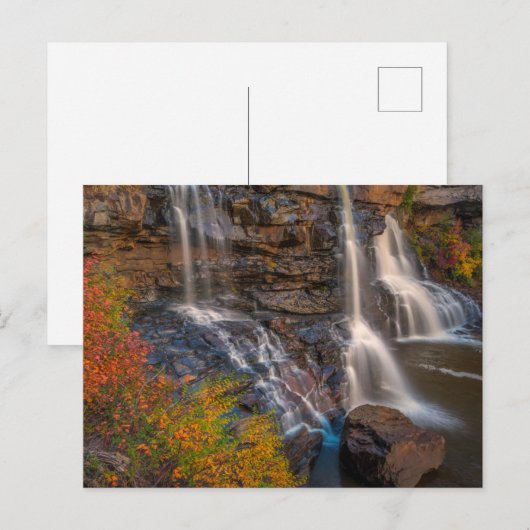 State Park Blackwater Herfsten | West Virginia Briefkaart (Voorkant / Achterkant)