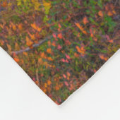 State Park Blackwater Herfsten | West Virginia Fleece Deken (Hoek)