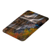 State Park Blackwater Herfsten | West Virginia Magneet (Linkerzijde)