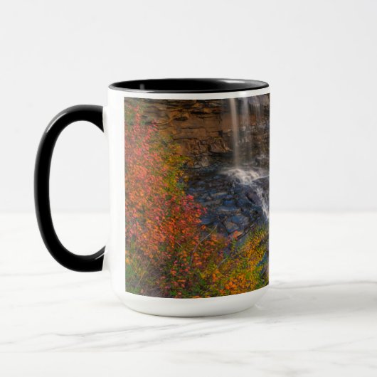 State Park Blackwater Herfsten | West Virginia Mok (Links)