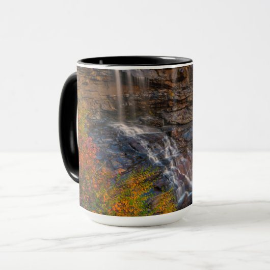 State Park Blackwater Herfsten | West Virginia Mok (Voorkant links)