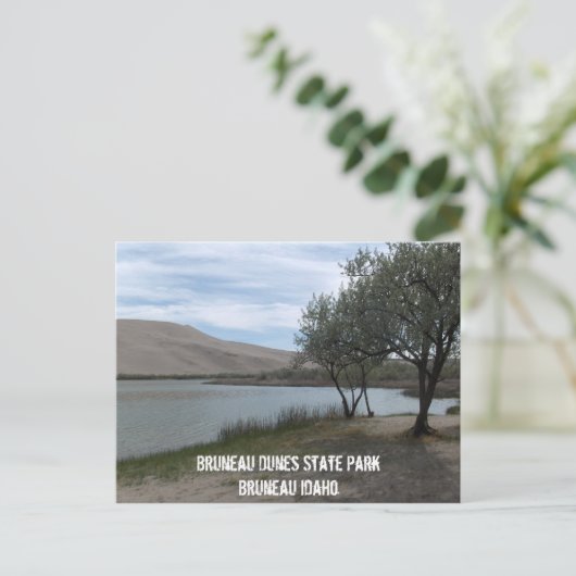 State Park Bruneau Dunes Briefkaart (Staand voorkant)