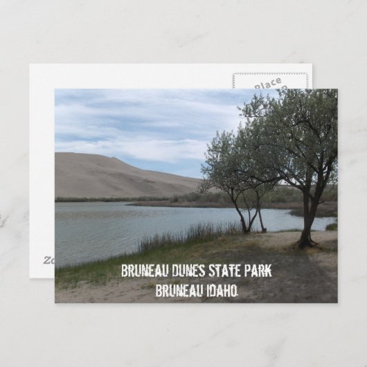State Park Bruneau Dunes Briefkaart (Voorkant / Achterkant)