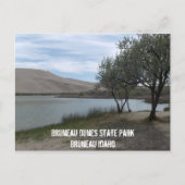 State Park Bruneau Dunes Briefkaart (Voorkant)