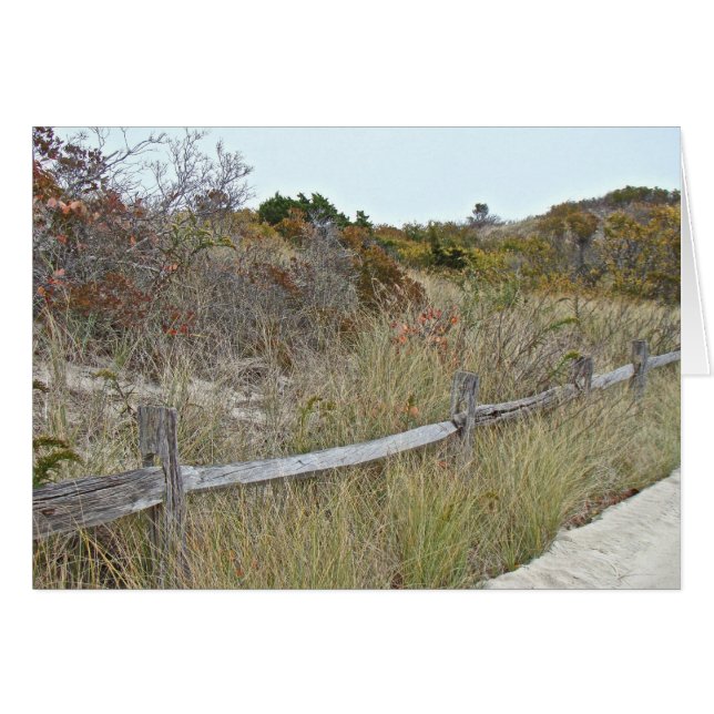 State Park Dunes and Fence Island Beach (Voorkant Horizontaal)
