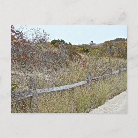 State Park Dunes and Fence Island Beach Briefkaart (Voorkant)