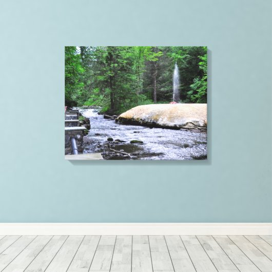 State Park-Geyser Creek Saratoga Spa Canvas Afdruk (Insitu (Houten vloer))