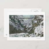 State Park Gorge Suspension Bridge Uitzicht in Briefkaart (Voorkant / Achterkant)