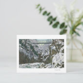 State Park Gorge Suspension Bridge Uitzicht in Briefkaart (Staand voorkant)