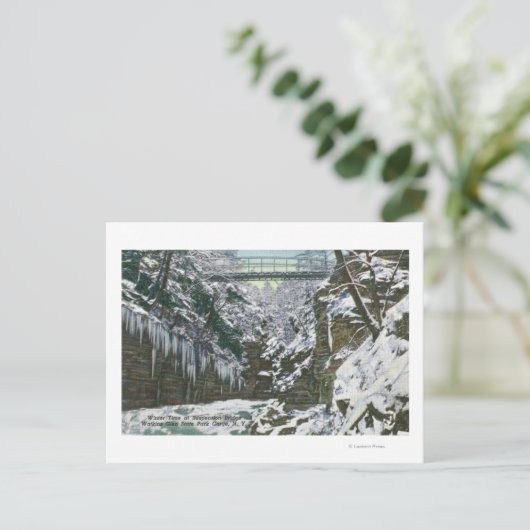 State Park Gorge Suspension Bridge Uitzicht in Briefkaart (Staand voorkant)