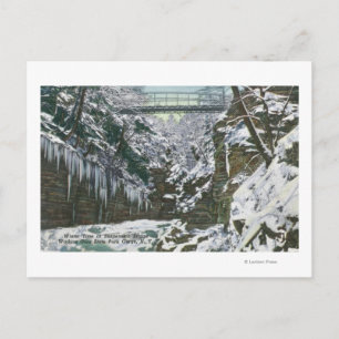 State Park Gorge Suspension Bridge Uitzicht in Briefkaart