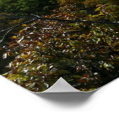 State Park Ha Ha Ha Tonka Poster (Hoek)