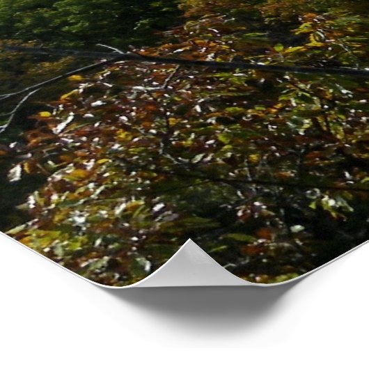 State Park Ha Ha Ha Tonka Poster (Hoek)