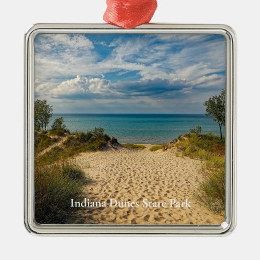 State Park Indiana Dunes Metalen Ornament (Voorkant)