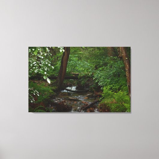 State Park Iron Horse Trail Canvas Afdruk (Voorkant)