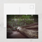 State Park Jedediah Smith Redwood Briefkaart (Voorkant / Achterkant)